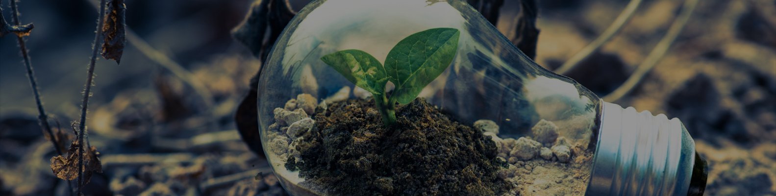20 sòng bạc trực tuyến tốt nhất tại Hoa Kỳ Các trang web sòng bạc địa phương tốt nhất năm 2025